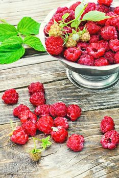 berries ripe raspberry on metal background