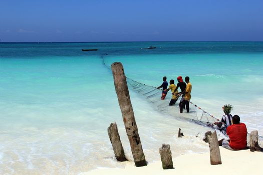 Zanzibar, Tanzania - January 6, 2016: African fishermen pulling fishing nets from the ocean. The village of Nungwi, Zanzibar. Tanzania