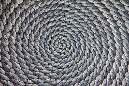 Stone Town, Zanzibar, Tanzania - December 30, 2015: painting of a fish drawn in a whirlpool for tourists in Stone Town, Zanzibar, Tanzania, East Africa.