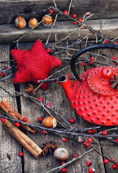 Red iron kettle custard,berries,cinnamon and branches with red berries