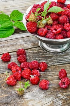 Full ramekin of berries ripe raspberry on wooden background
