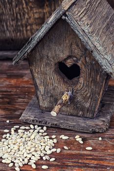 Stylish wooden empty birdhouse out of old wood and spilled grain