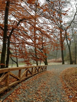 autumn in european city