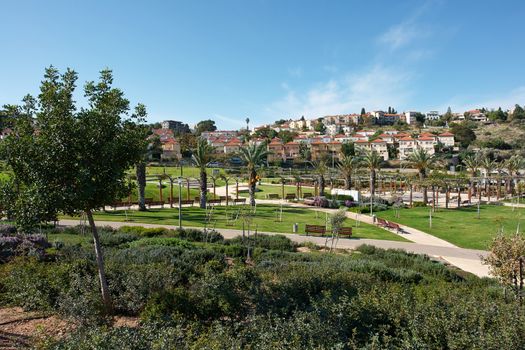 Mediterranean style city park with palm trees and grapes Israel