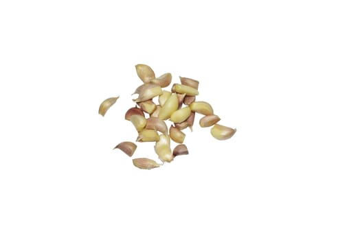 Fresh garlic