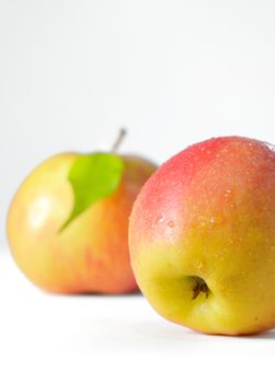 Ripe apples fruit with leaves and water drops