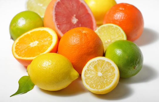 citrus fruits isolated on white background