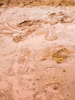 Brown road dirt with footprints