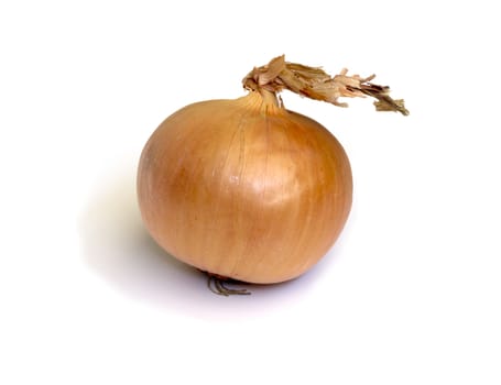 Fresh onion on the white background