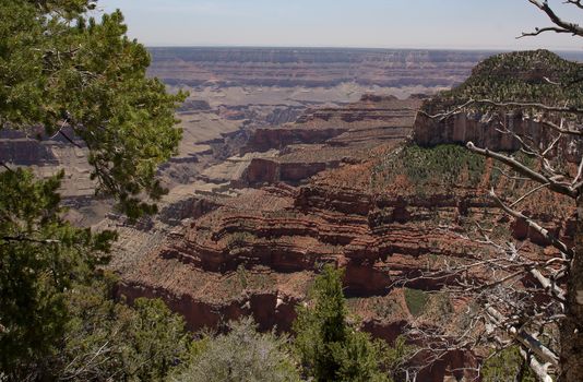 North Rim of the Grand Canyon National Park, Arizona.