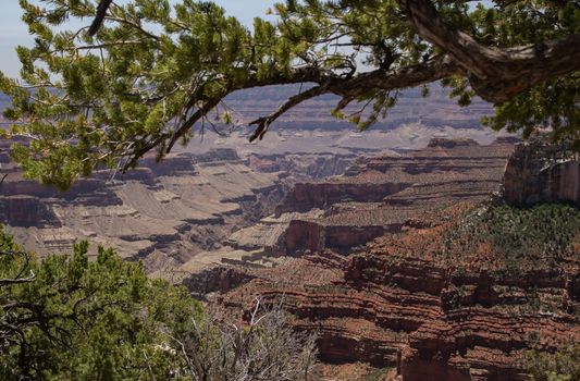 North Rim of the Grand Canyon National Park, Arizona.