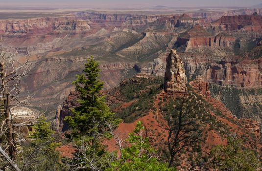 Grand Canyon North Rim, Grand Canyon National Park, Arizona.