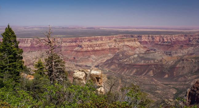 Grand Canyon North Rim, Grand Canyon National Park, Arizona.