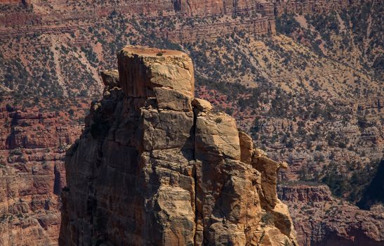 Grand Canyon North Rim, Grand Canyon National Park, Arizona.