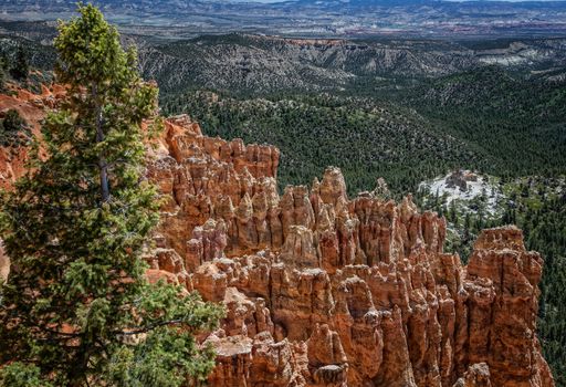 Bryce Canyon National Park, Utah.