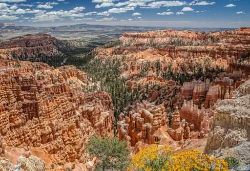 Bryce Canyon National Park in Utah is a marvel of rock formations (hoodoos) hiking trails and scenic views.