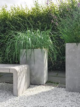 Garden with decorative grass, concrete and stone details. Contemporary design.