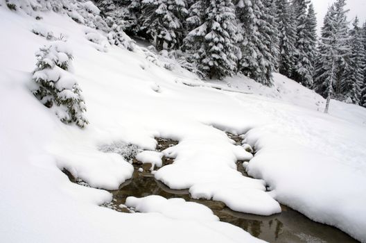 Fantastic evening landscape glowing by sunlight. Dramatic wintry scene. Natural park. Carpathian, Ukraine, Europe. 