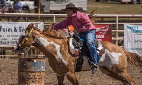 A barrel racer riders her horse full speed to finish line after clearing her last barrel.The rodeo in Cottonwood, California is a popular event on Mother's Day weekend in this small northern California town. This photo was taken in May, 2014.