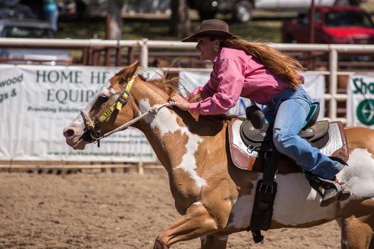 A barrel racer riders her horse full speed to finish line after clearing her last barrel.The rodeo in Cottonwood, California is a popular event on Mother's Day weekend in this small northern California town. This photo was taken in May, 2014.