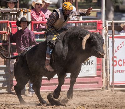 A bull rider in a rodeo competition. The rodeo in Cottonwood, California is a popular event on Mother's Day weekend in this small northern California town.
Photo taken on: May 10th, 2014
