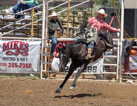 A cowboy is riding his bronc good and strong. The rodeo in Cottonwood, California is a popular event on Mother's Day weekend in this small northern California town. This photo was taken in May, 2014.