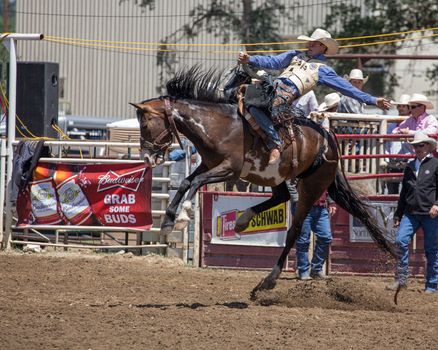 A cowboy is riding his bronc good and strong. The rodeo in Cottonwood, California is a popular event on Mother's Day weekend in this small northern California town. This photo was taken in May, 2014.