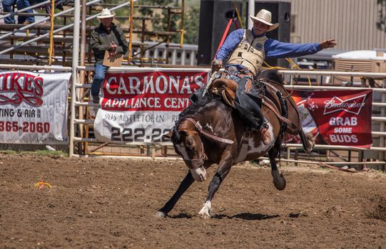 A cowboy is riding his bronc good and strong. The rodeo in Cottonwood, California is a popular event on Mother's Day weekend in this small northern California town. This photo was taken in May, 2014.