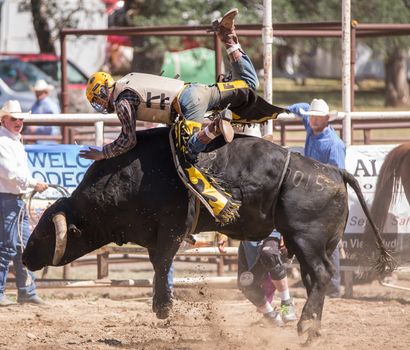 A bull rider in a rodeo competition. The rodeo in Cottonwood, California is a popular event on Mother's Day weekend in this small northern California town.
Photo taken on: May 10th, 2014