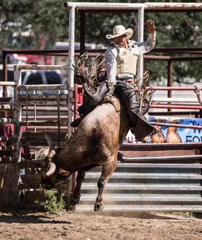 A bull rider in a rodeo competition. The rodeo in Cottonwood, California is a popular event on Mother's Day weekend in this small northern California town.
Photo taken on: May 10th, 2014