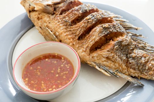 Fried red tilapia fish
