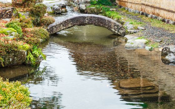 Stream with plant and bridge.