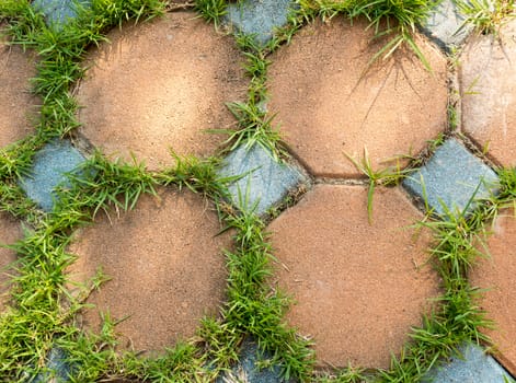 Colorful rock tile with grass in the garden