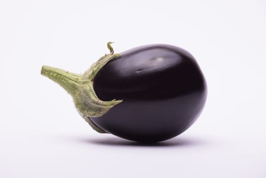 Aubergine on white background