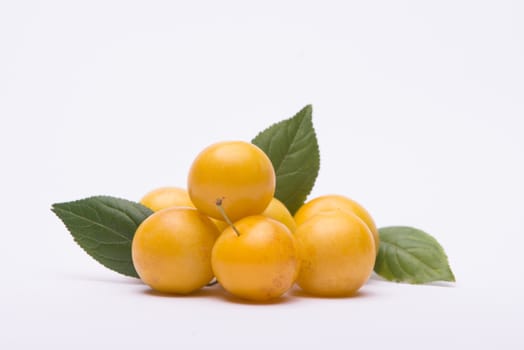 Plums on white background