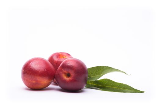 Nectarine on a white background