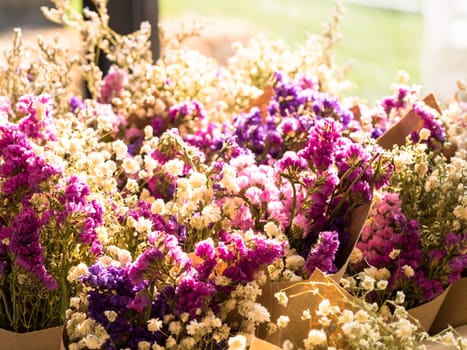 colorful Dried flowers, blurred