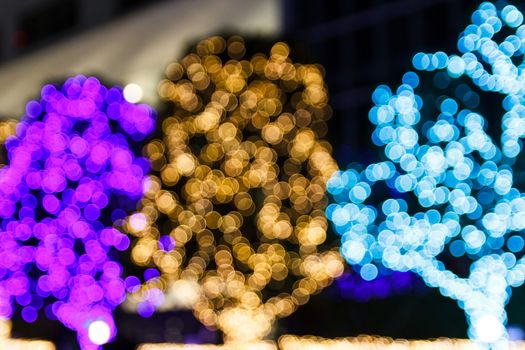 Colorful bokeh on the tree.