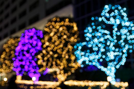 Colorful bokeh on the tree.