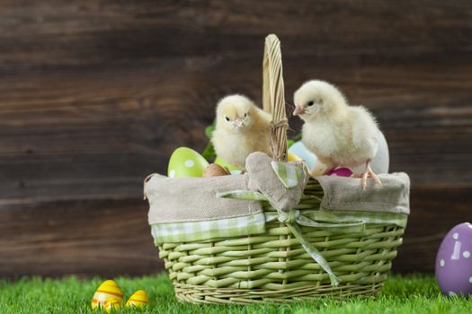 Easter chicken, eggs and decoration in vintage sytle wooden background