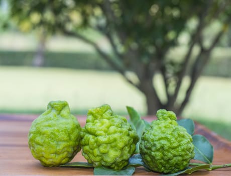 Green Bergamot  fruit