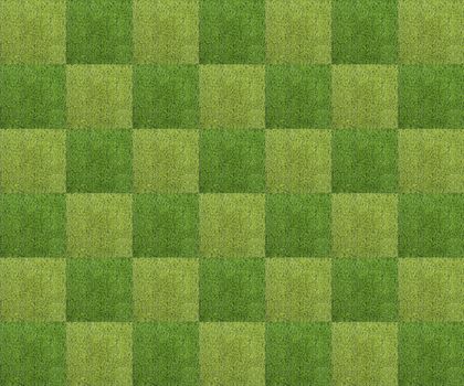 Green grass background texture