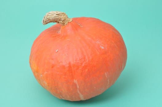 Pumpkin