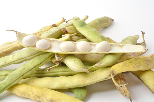 Paimpol coco beans