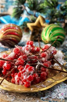 Kalina on gold tray and Christmas decorations