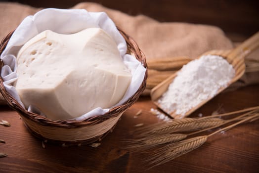 Mother Yeast, Natural Yeast on still life composition with flour and wheat