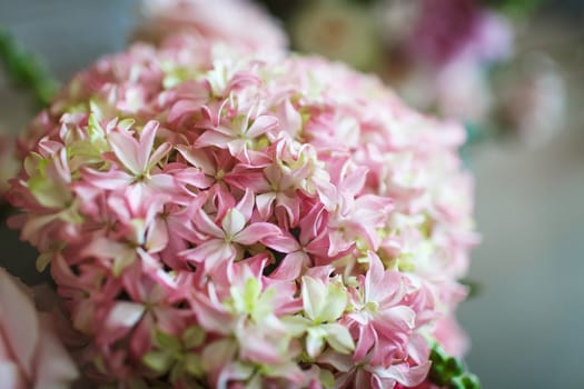 Beautiful bouquet of pink and white flowers