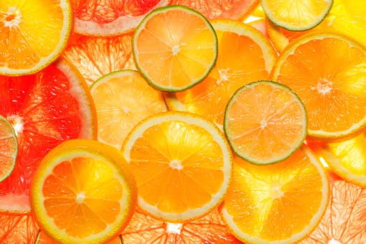 Slice of a fresh juicy round citrus fruits 