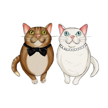 Adorable couple of felines wearing bridal accessories