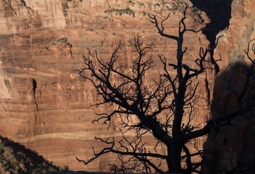 ancient native American trails and dwellings can all be found in Canyon de Chelly National Monument in Arizona.